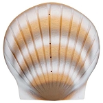 Shell Biodegradable Urn in Pearl